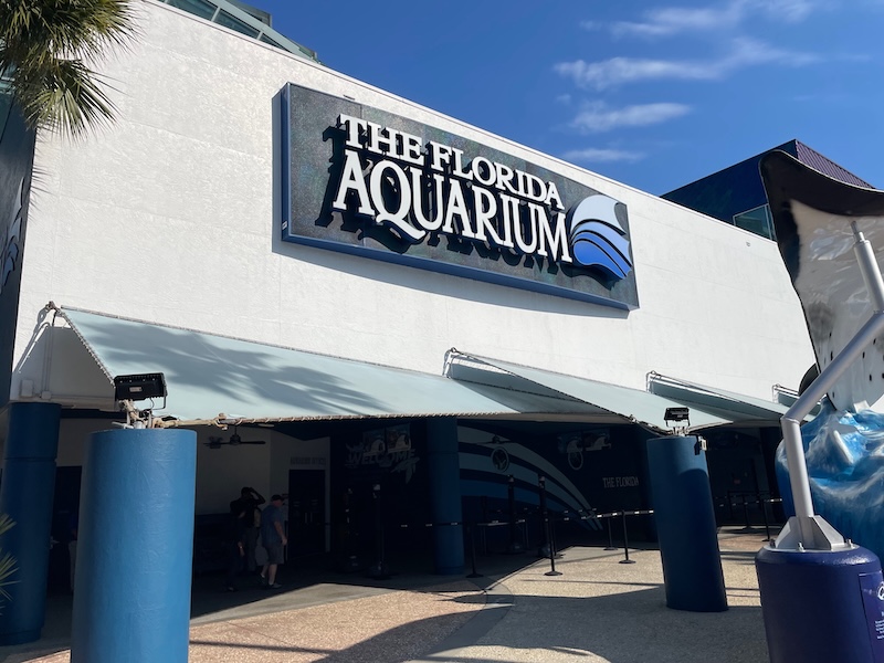 The Florida Aquarium in Tampa: A Practical Day Trip from The Villages