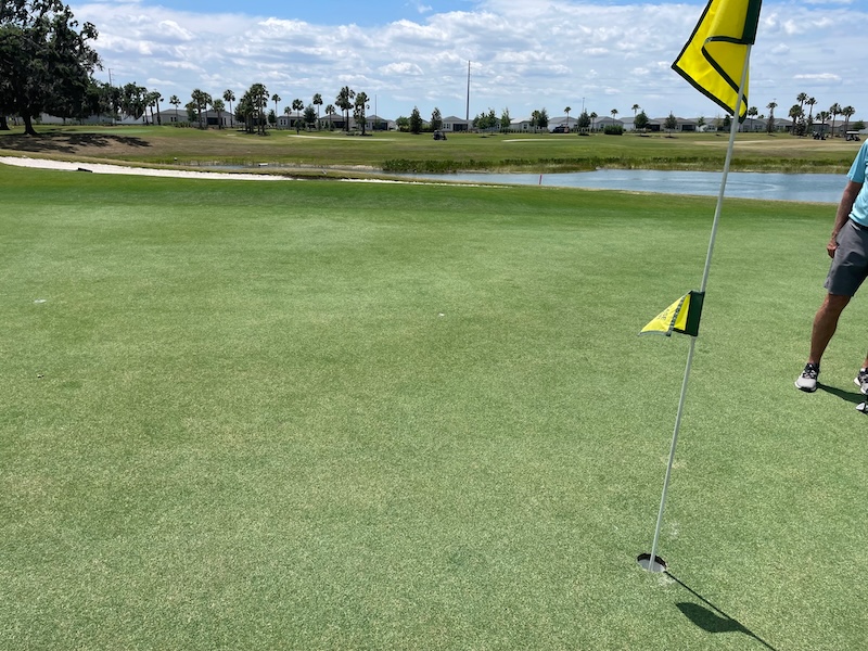 Healthier section of green at Bellaire course in The Villages 470 development area