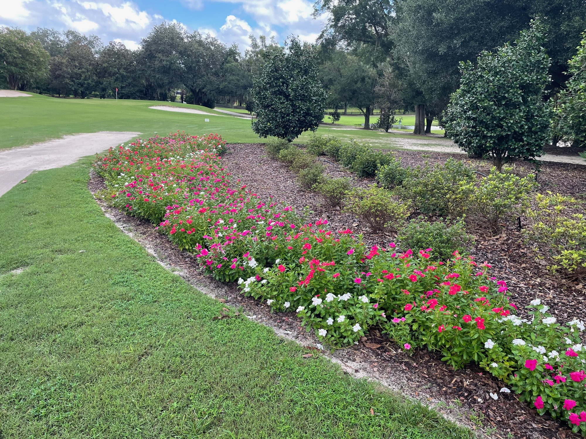Flowers and fairway at Baseline Golf Course in Ocala Florida